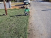 Sod and Seed