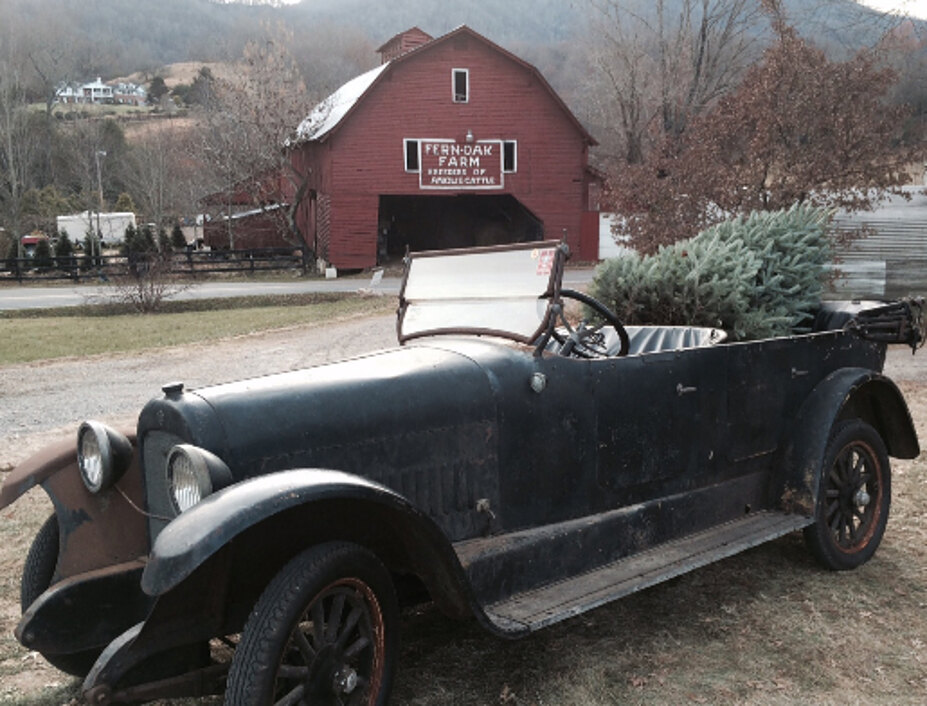 Vintage car loaded with Christmas trees in front of the red barn, Waynesville NC